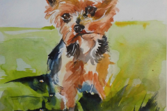 Coco-watercolour-26x36cm