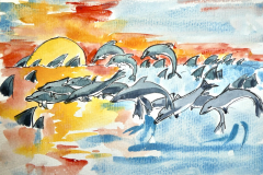Dolphins