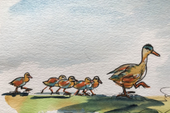 mother-duck