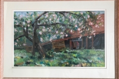 orchard