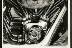 Photographs