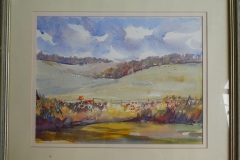West Dean Poppies