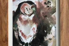 Barn owl