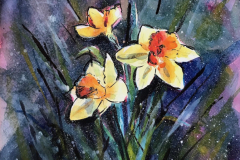 daffs-2-wc-38x49cm