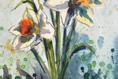 daffs-I-wc-38x48cm